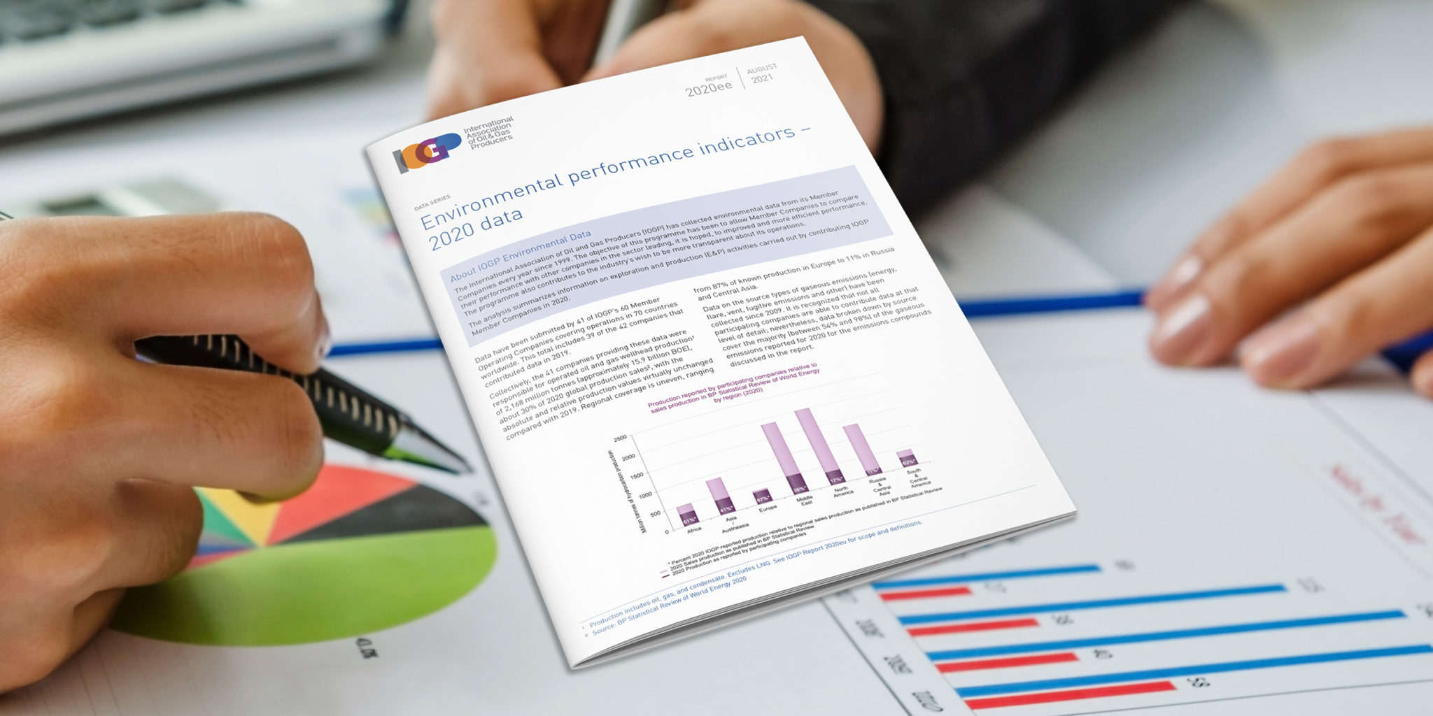 Environmental performance indicators - 2020 data - executive summary