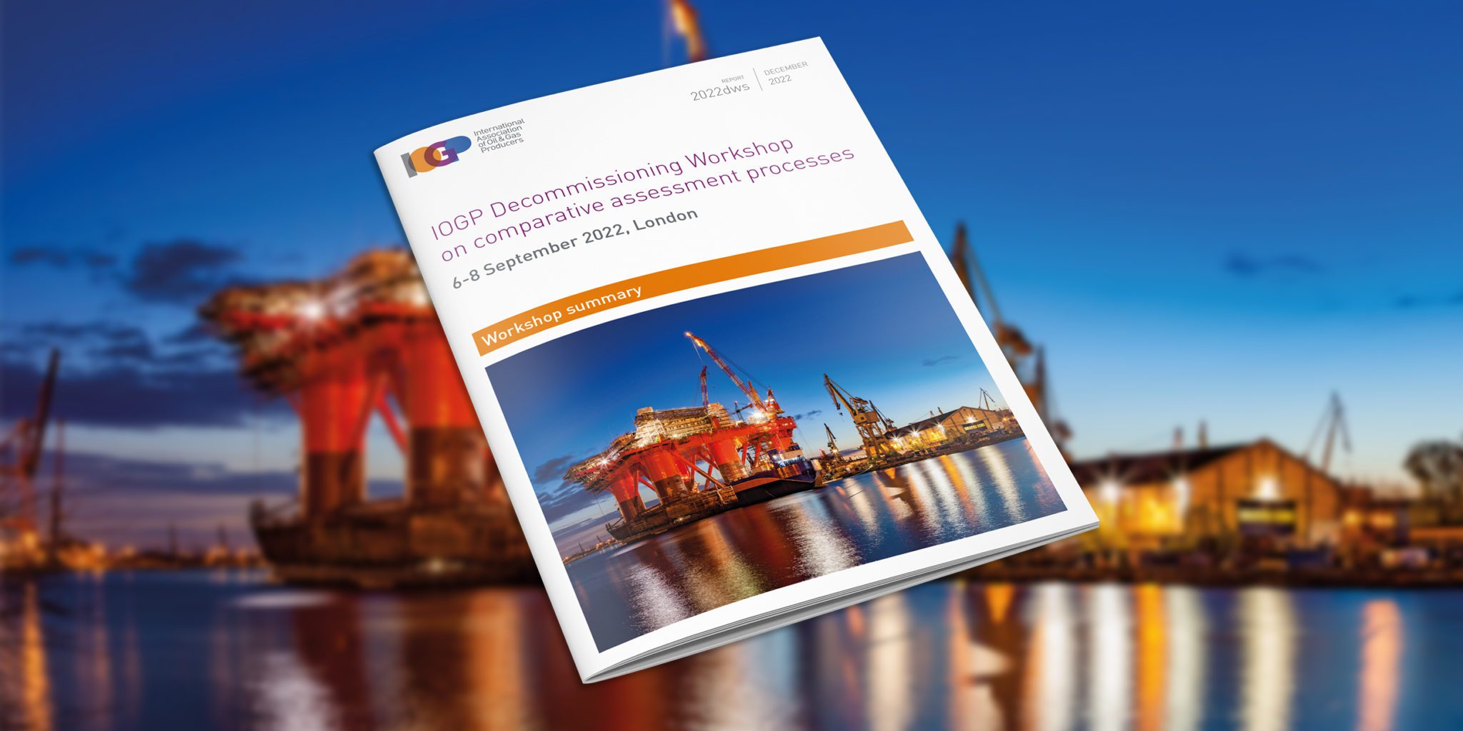 Decommissioning Workshop on comparative assessment processes