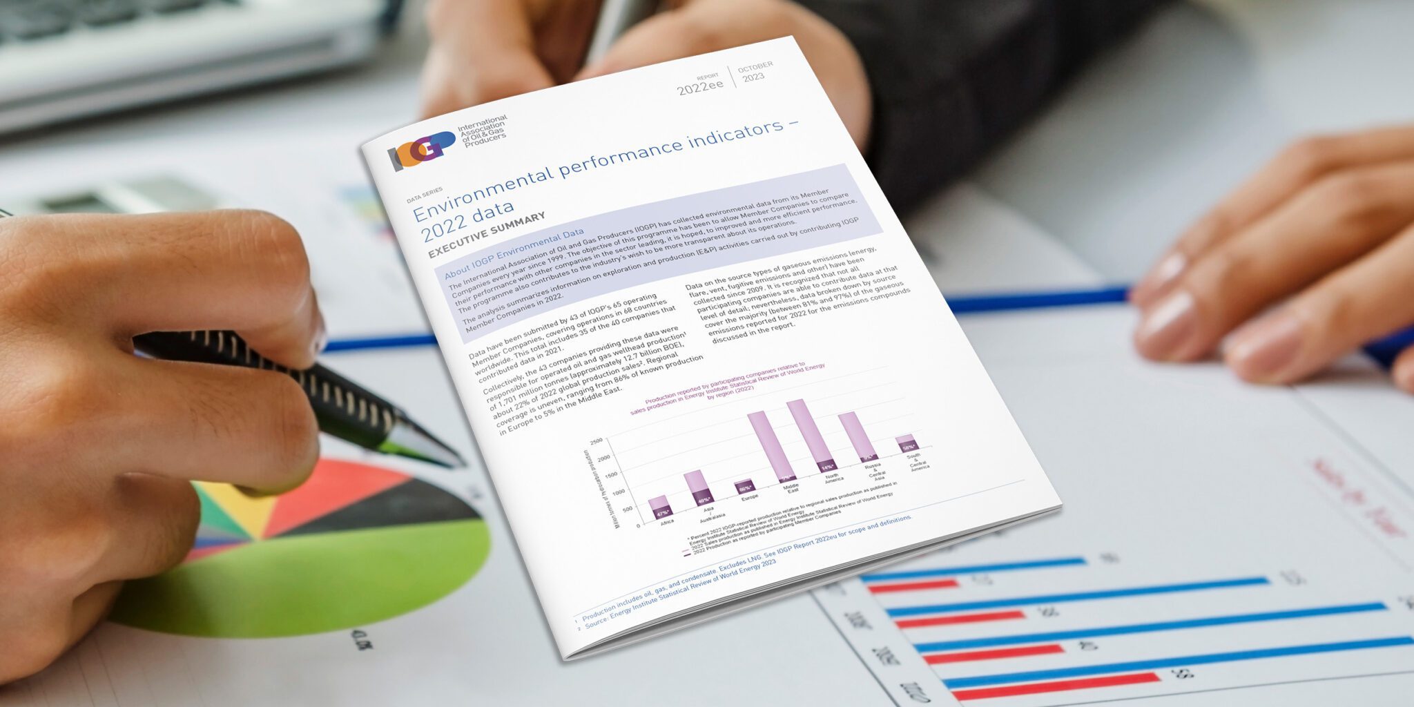 Environmental performance indicators – 2022 data - executive summary