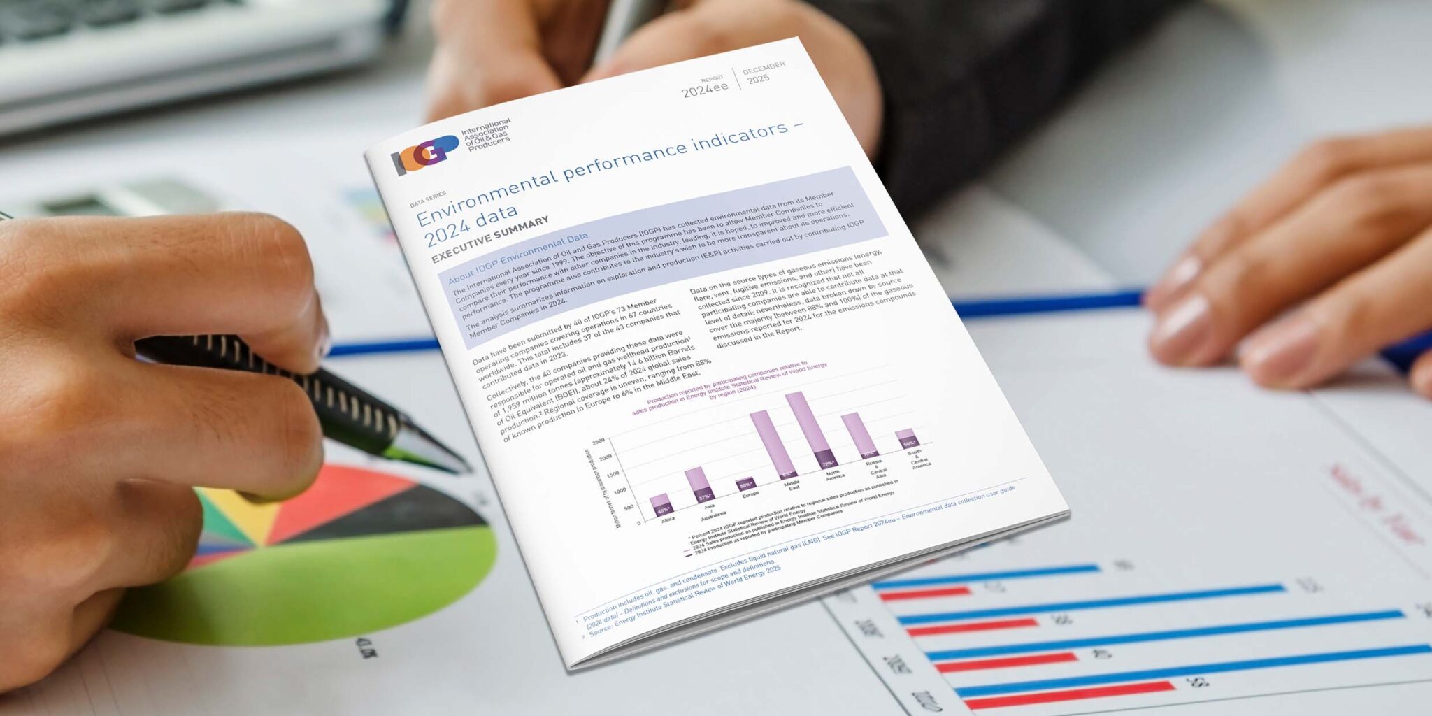 Environmental performance indicators - 2024 - data - executive summary