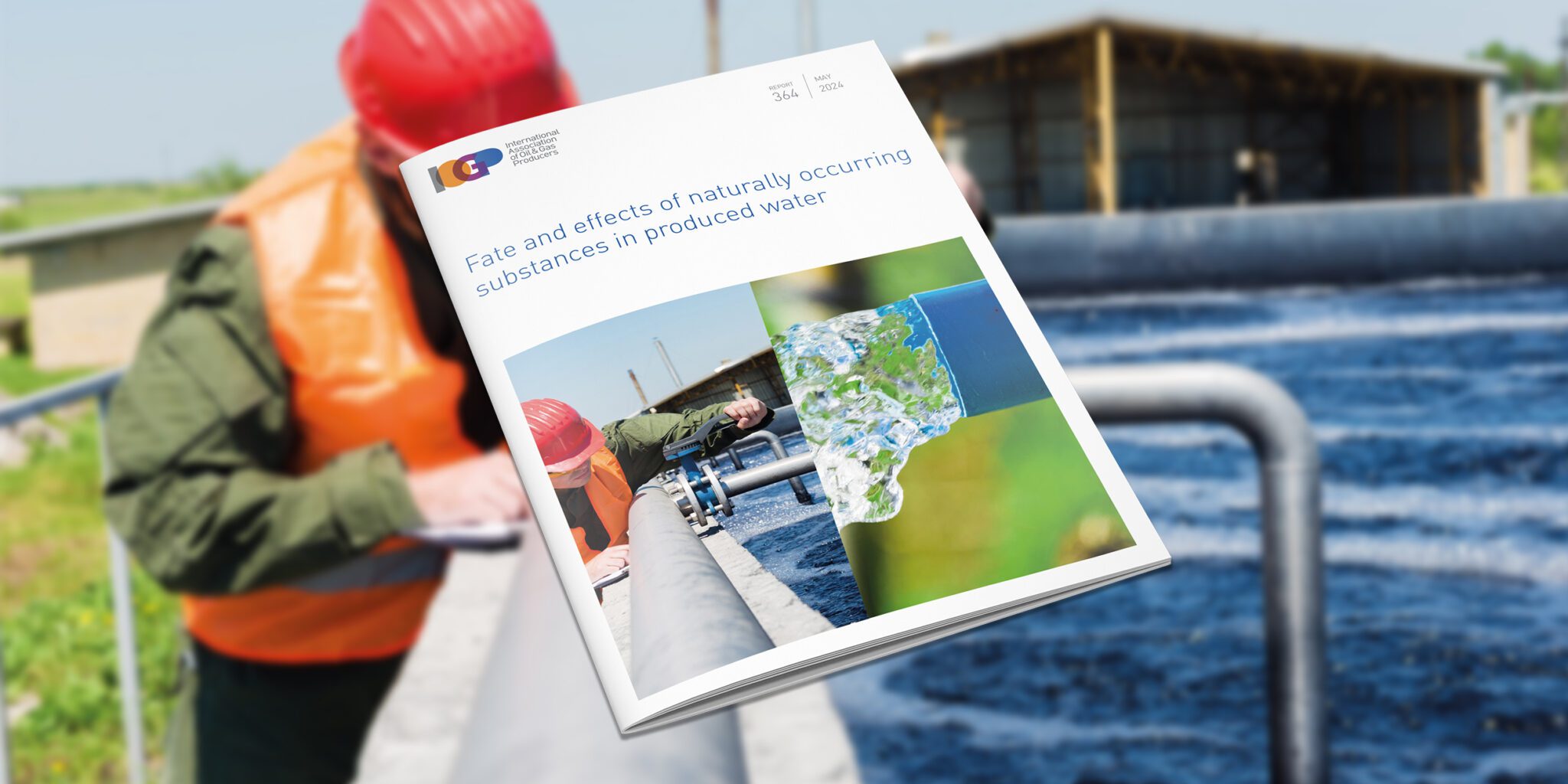 Fate and effects of naturally occurring substances in produced water on the marine environment
