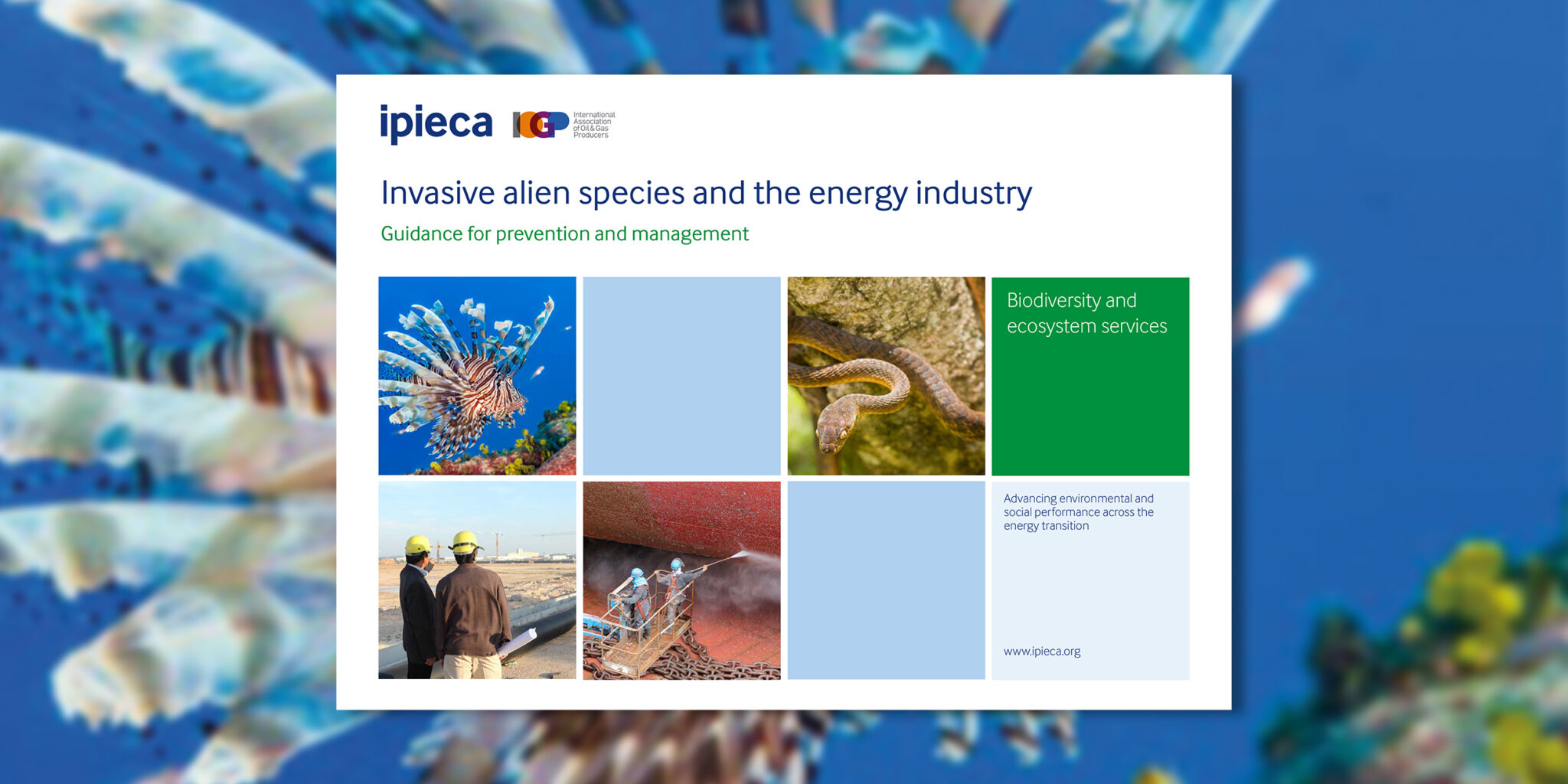 Invasive alien species and the energy industry