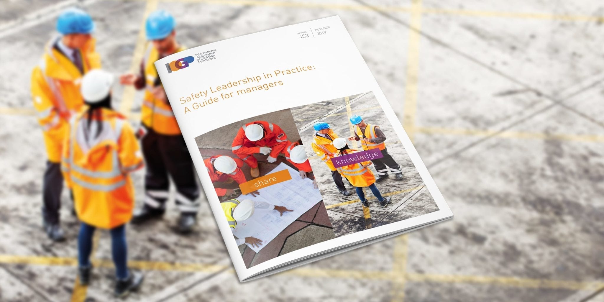 Safety Leadership in Practice: A Guide for Managers