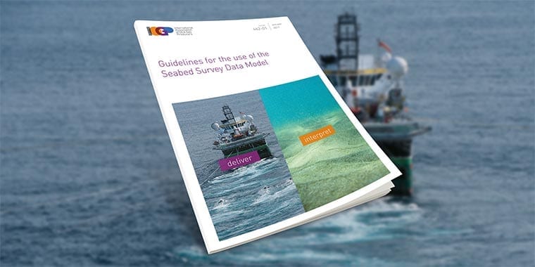 Guidelines for the use of the Seabed Survey Data Model