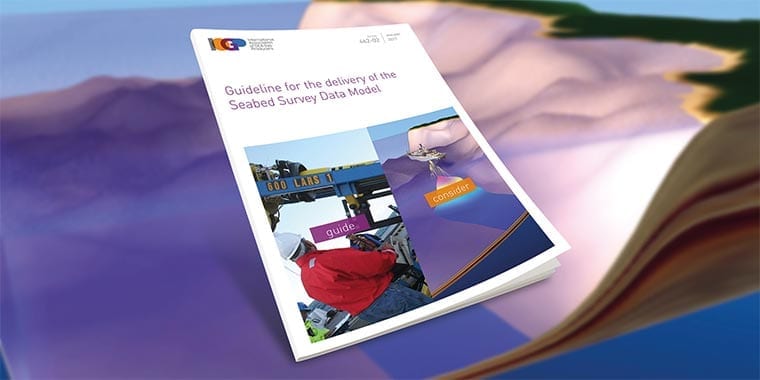 Guideline for the delivery of the Seabed Survey Data Model 