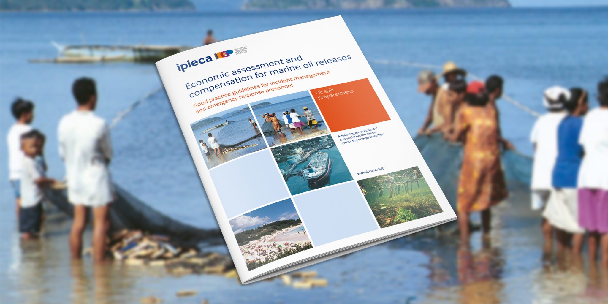 Economic assessment and compensation for marine oil spills