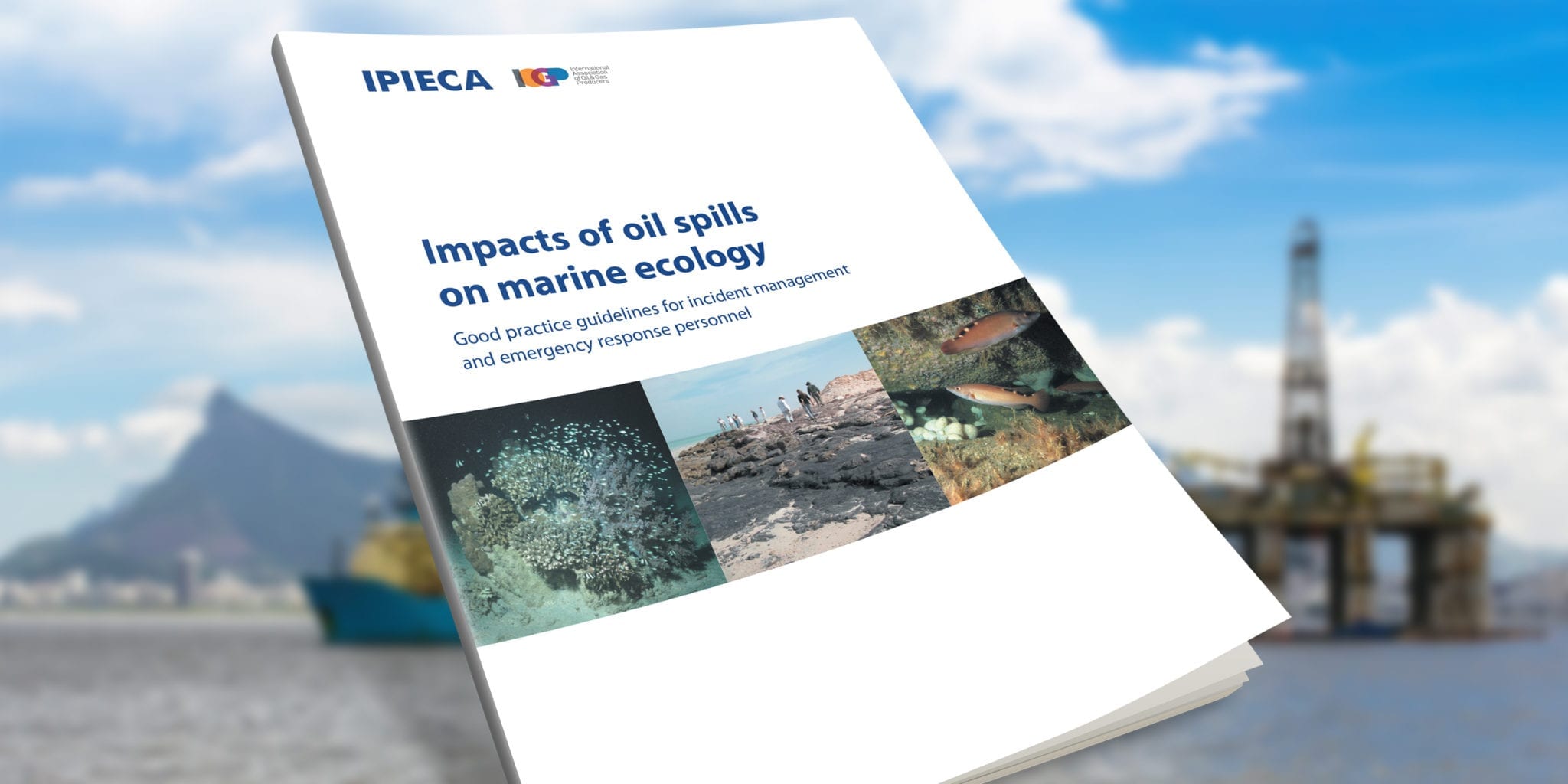 Impacts of oil spills on marine ecology
