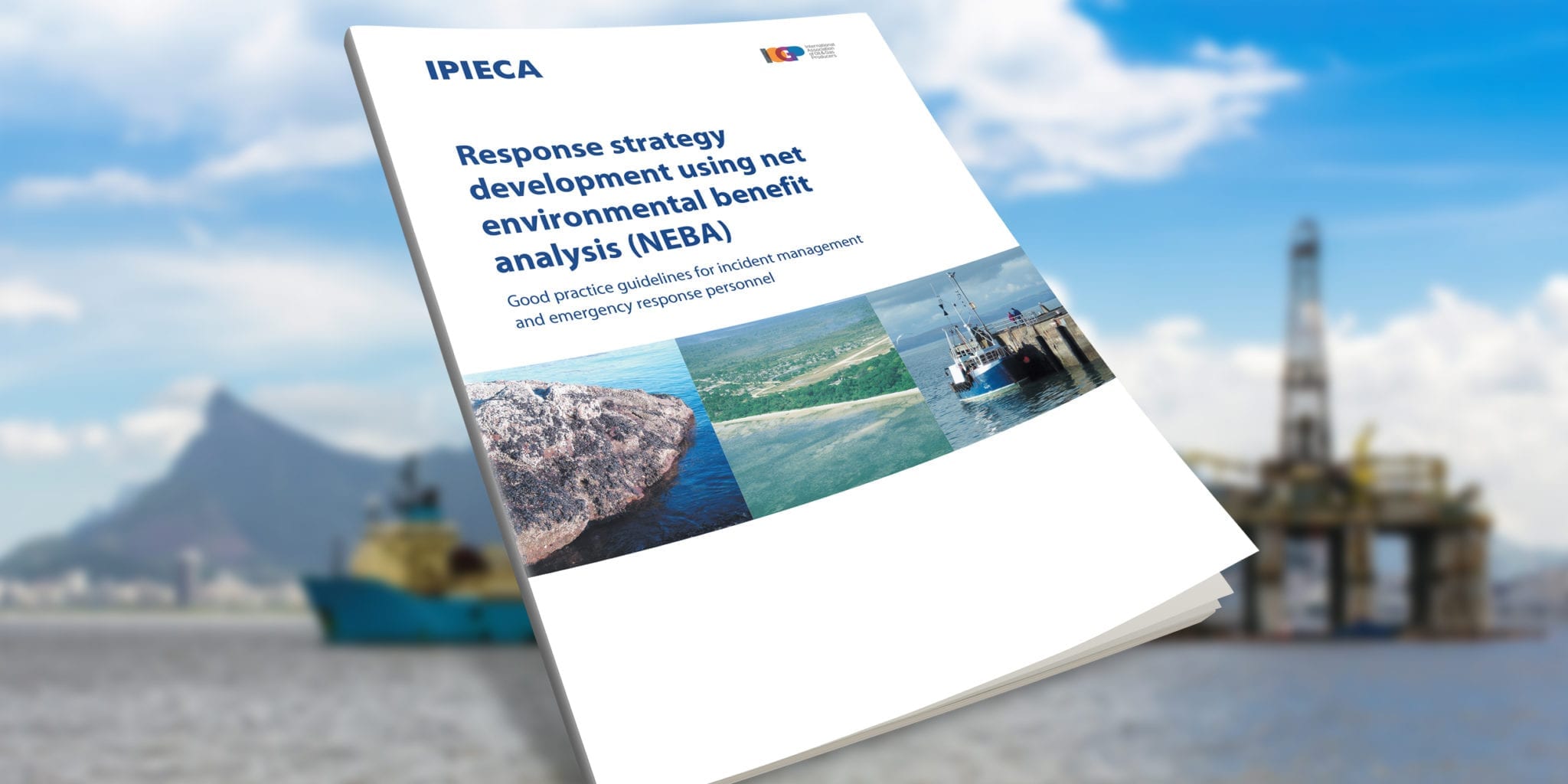 Response strategy development using net environmental benefit analysis (NEBA)
