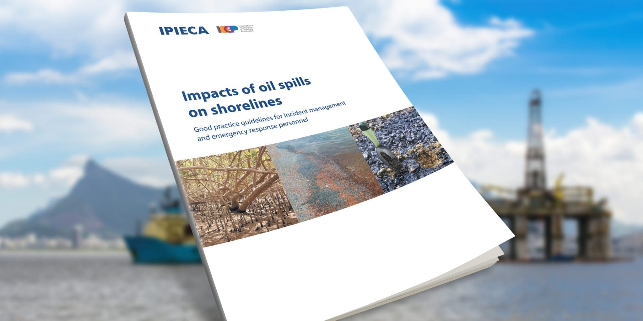 Impacts of oil spills on shorelines