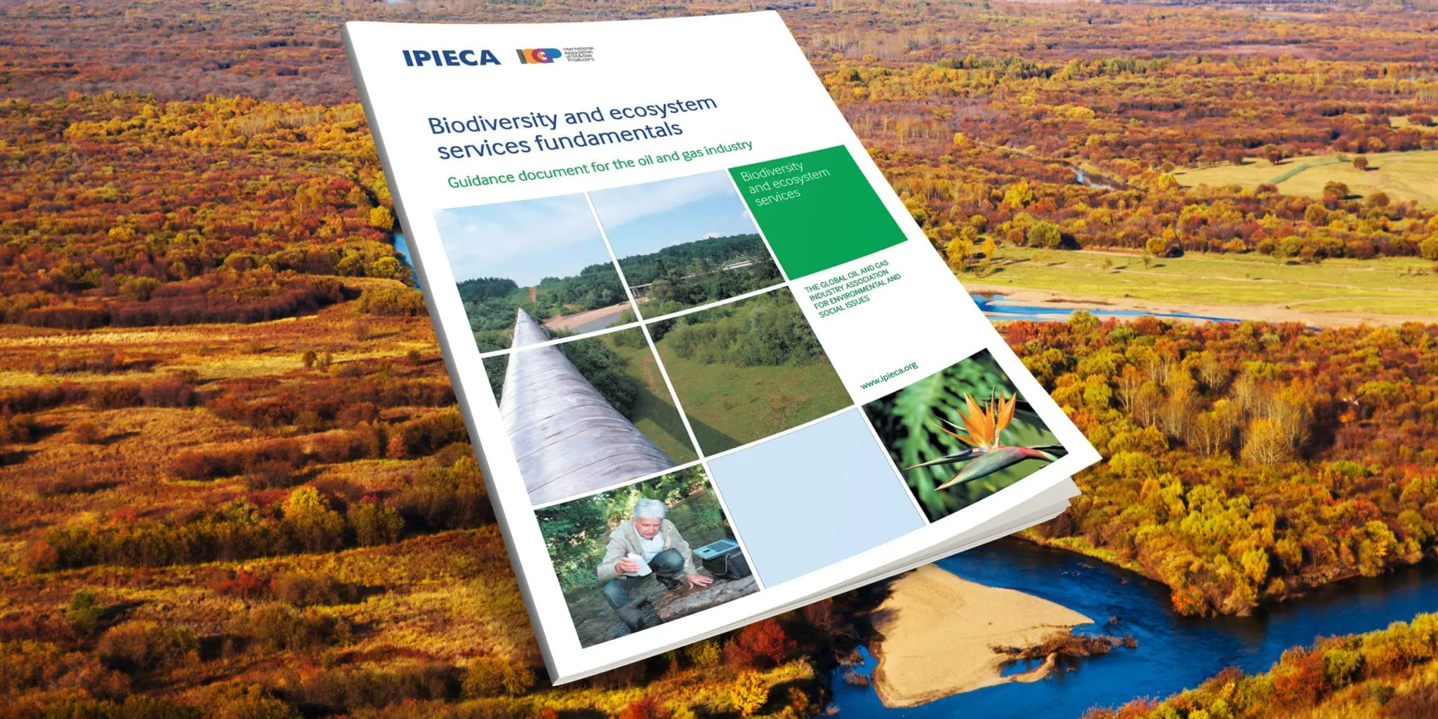 Biodiversity and ecosystem services fundamentals
