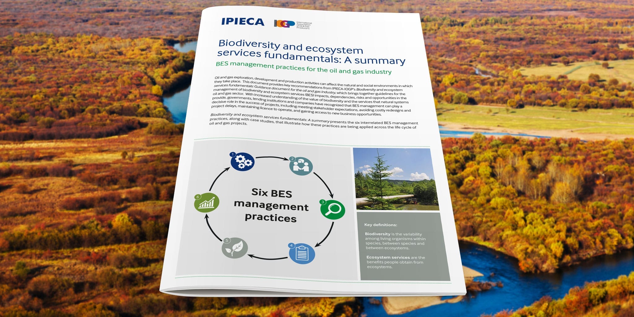 Biodiversity and ecosystem services fundamentals: A summary