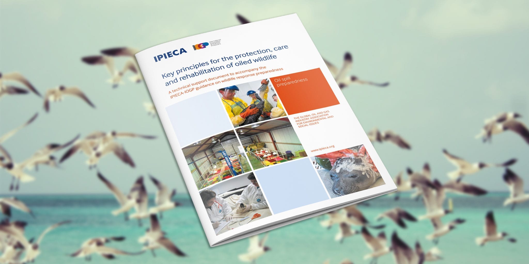 Key principles for the protection and care of animals in an oiled wildlife response