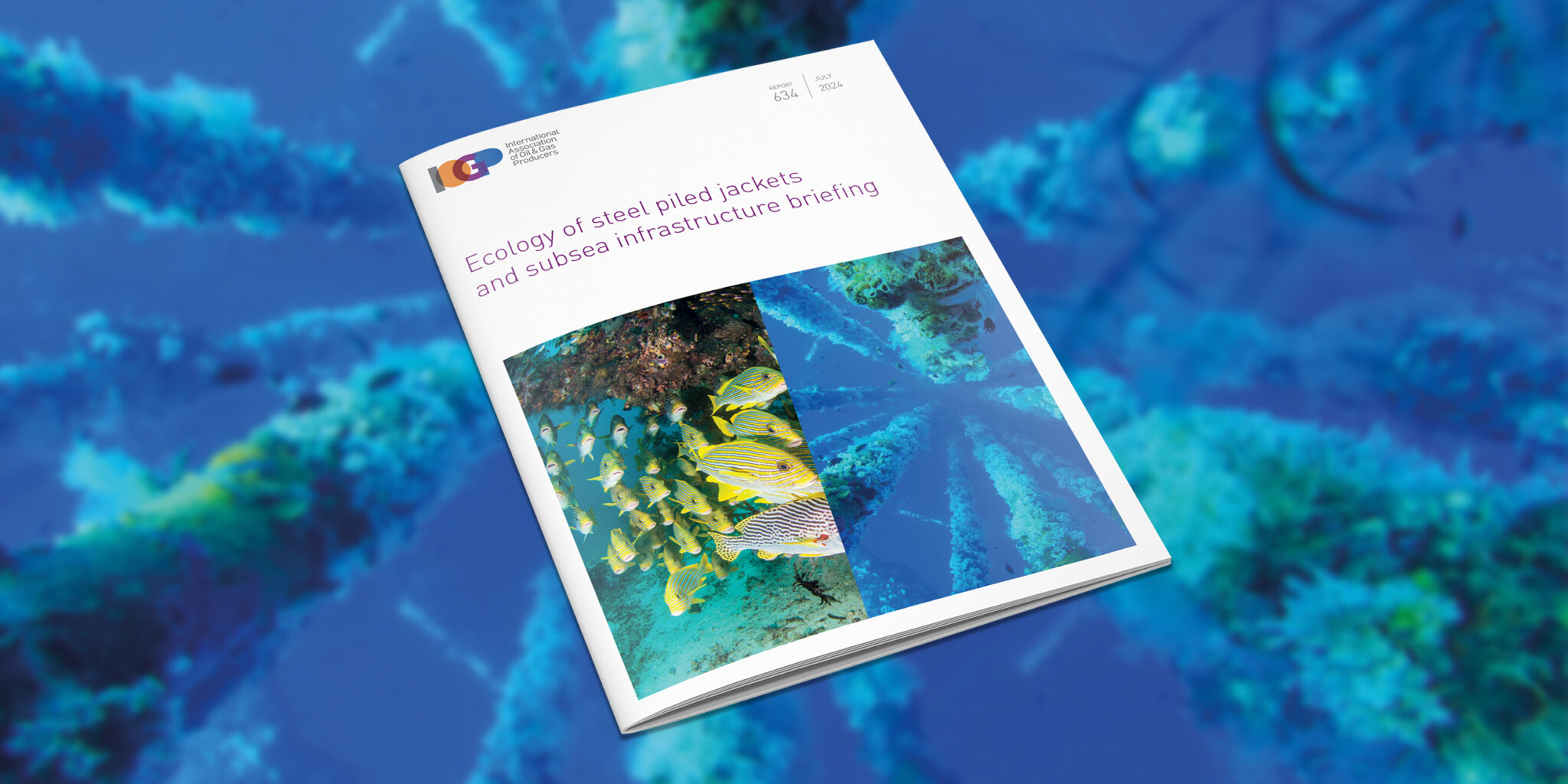 Ecology of steel piled jackets and subsea infrastructure briefing