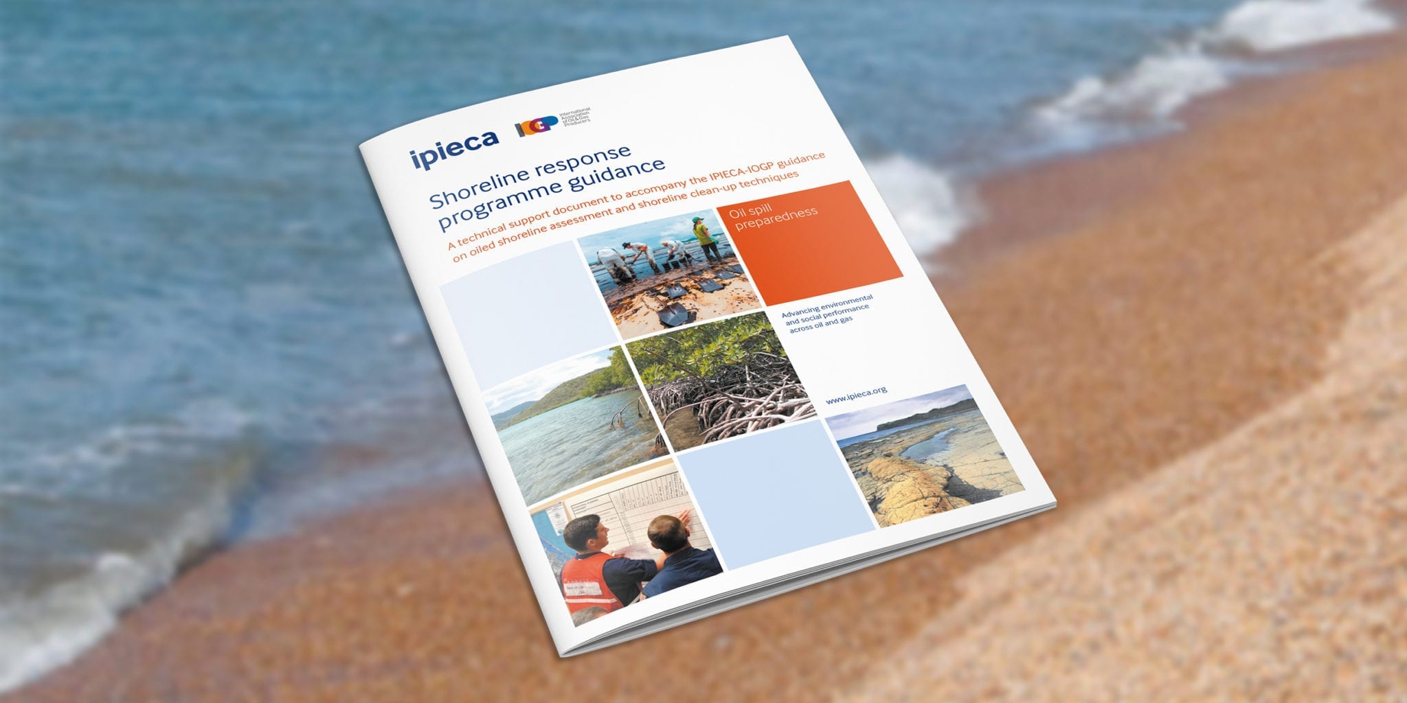 Shoreline response programme guidance
