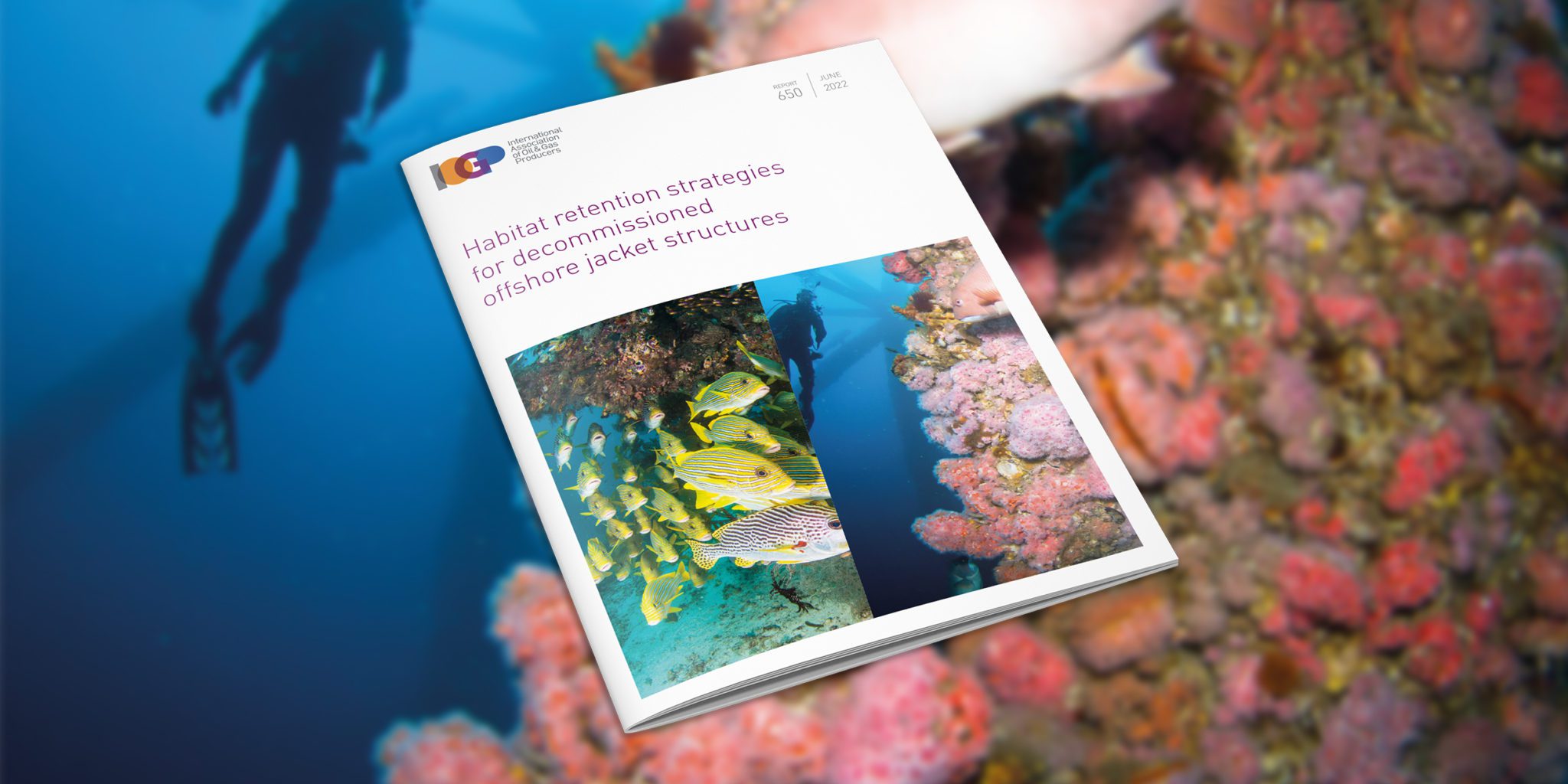 Habitat retention strategies for decommissioned offshore jacket structures
