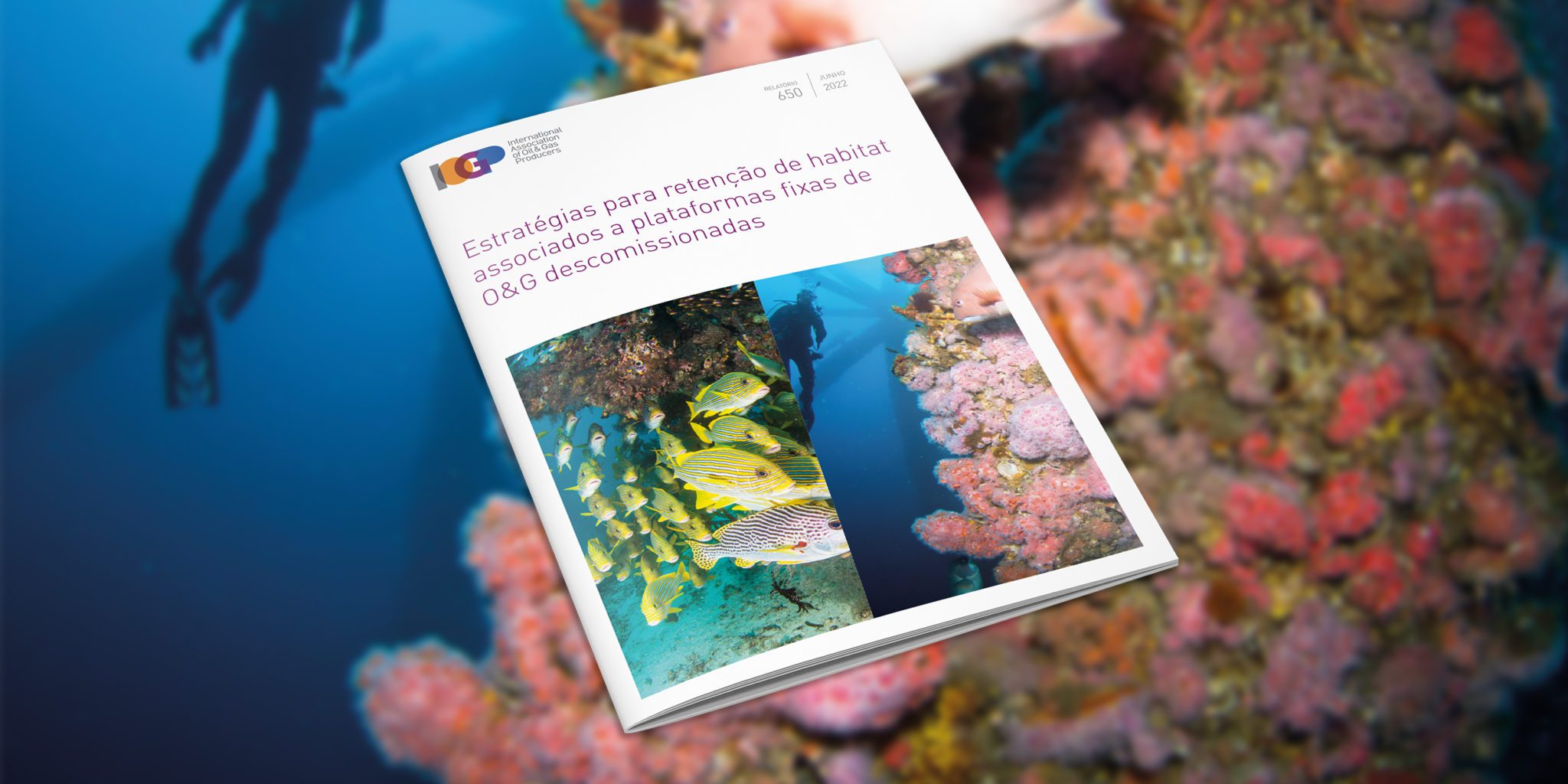 Habitat retention strategies for decommissioned offshore jacket structures/Estratégias para retenção de habitat associados a plataformas fixas de O&G descomissionadas