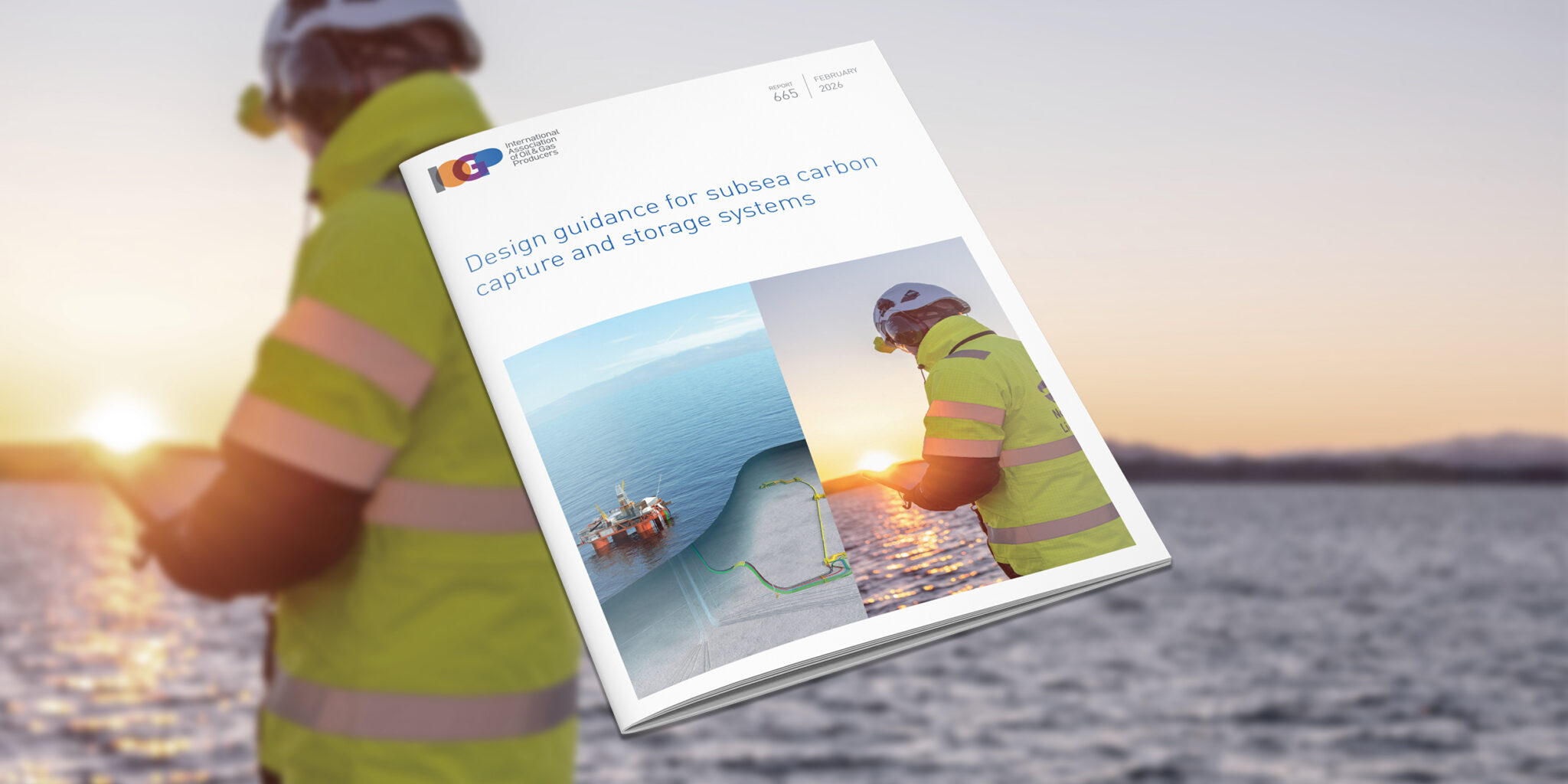 Design guidance for subsea carbon capture and storage systems