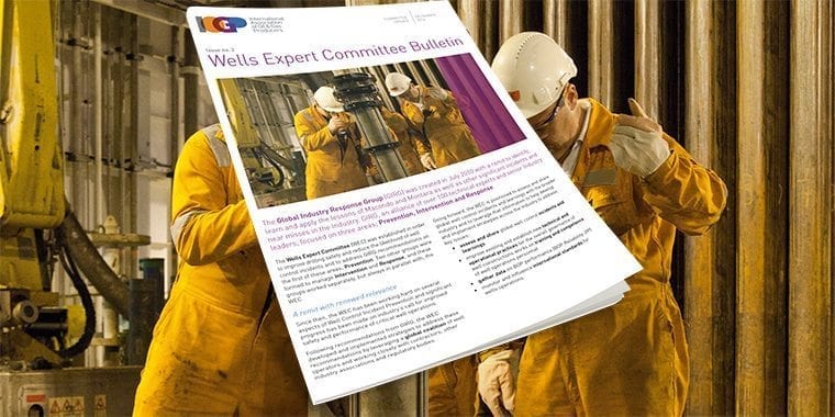 Wells Expert Committee Bulletin - Issue 2